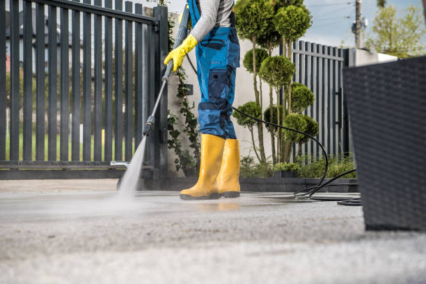 Professional Pressure Washing Services in Williamsburg, VA